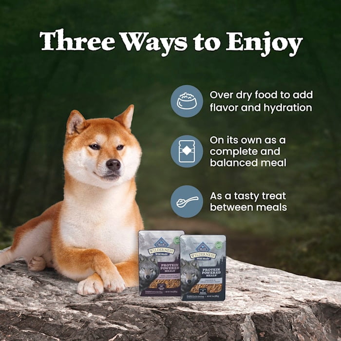 Blue Buffalo Wilderness Chicken and Beef High-Protein Adult Wet Dog Food, 9oz., 6 Count VP