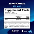 thumbnail image 2 of Suplemento vitamático de niacinamida 500 mg 240 comprimidos, 2 of 8