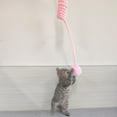 thumbnail image 2 of TISHITA Cat Kitten Toy Exercise Retractable Spring Funny Indoor Flexible Fuzzy Balls Cat Pink, 2 of 8
