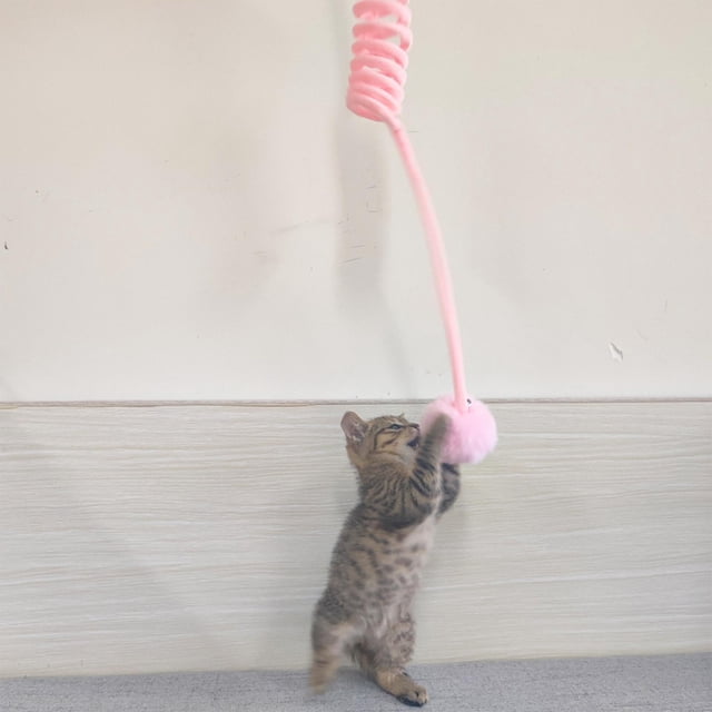 Juguete para gatos, Bouncy Dangler Juguetes para gatos Bola de felpa Cuerda elástica Teaser Varita Juguete para gatos de felpa Cuerda retráctil Rosado Colco gato jugar