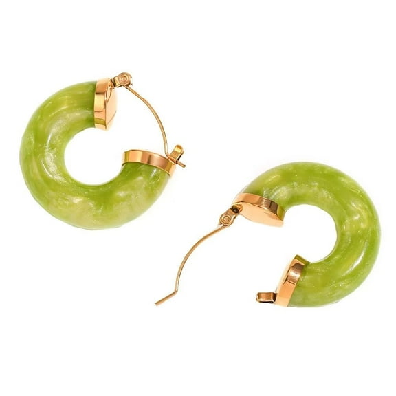 HIJONES Women's C Shaped Hoop Earrings Acrylic Resin Huggie Statement Ear Studs Jewelry Style 6