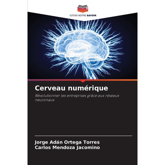Cerveau numérique, (Paperback)