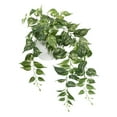 thumbnail image 3 of Mainstays 32" Artificial Silk Green Pothos Hanging Bouquet, 3 of 8
