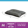 thumbnail image 3 of Vibrant Life Medium Dog Bed, Plush Pillow Bed For Medium Breeds, Medium, 36" x 26", Black, 3 of 9