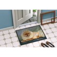 thumbnail image 4 of Carolines Treasures MH1055MAT Pomeranian Full Body Door Mat Indoor Rug or Outdoor Welcome Mat 18x27 Doormat  27"L x 18"W, 4 of 4