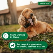 Advantus Chewable Flea Treatment for Dogs 4 - 22 lbs. 7 Soft Chews