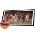 thumbnail image 2 of 5D DIY Diamond Painting Kits Full Round Drill Animal Mosaic Picture Decoración de pared FLhrweasw Nuevo, 2 of 9