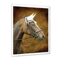 thumbnail image 2 of Designart 'Close Up Portrait Of Brown Horse With White Ears' Farmhouse Framed Art Print, 2 of 4
