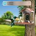 thumbnail image 5 of Bird Feeder with Camera，Bird Watching Camera with Solar Panel，AI Identify Birds Species , Smart Bird House with Cam, 2K Live View, Instant Arrival Alerts, 5 of 7
