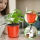 thumbnail image 5 of Herramientas y mejoras para el hogar Maceta de plástico de 4 pulgadas con 100 piezas reutilizables para sembrar semillas, esquejes y trasplantar. Cubos para bonsái., 5 of 7