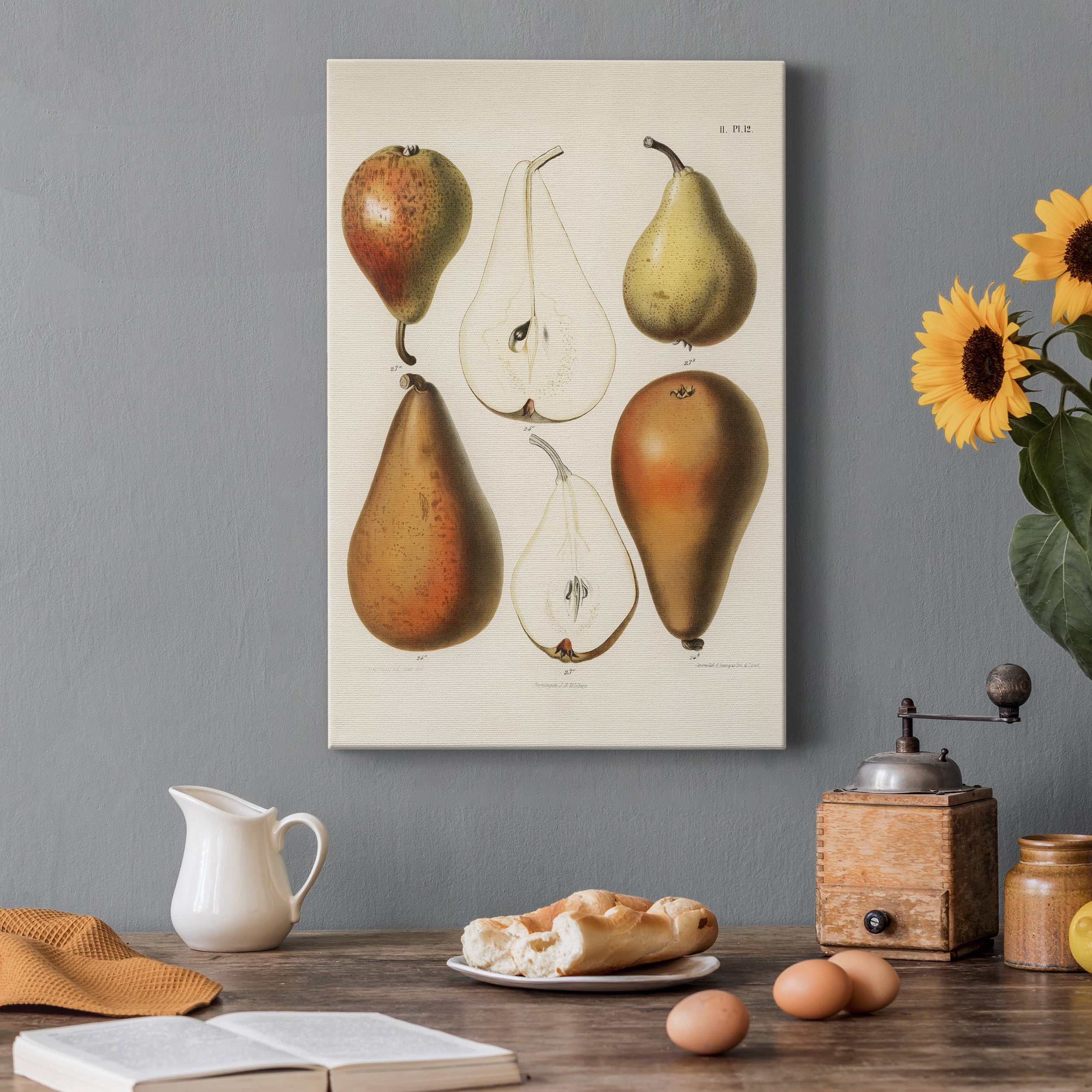 A vintage chromolithograph of fresh pears Premium Gallery Wrapped Canvas - Ready to Hang - 12 x 18