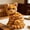 A, variant on Sitting Cat Plush Toy – Tabby & Blue Cats Soothing Doll for Kids & Home,B