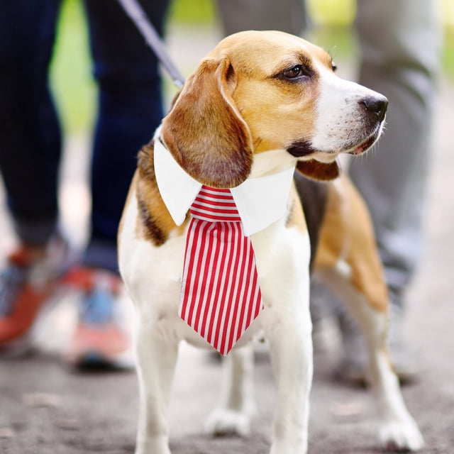 unbranded 1Jgo Collar Para Y Perros Con Pajarita Roja En Poliéster Ajustable Para Fiestas