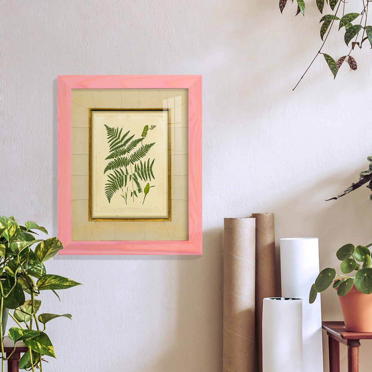 Fern with Crackle Mat (H) IV - Framed Print w/glass - Sunset Pink