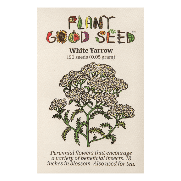 White Yarrow Seeds
