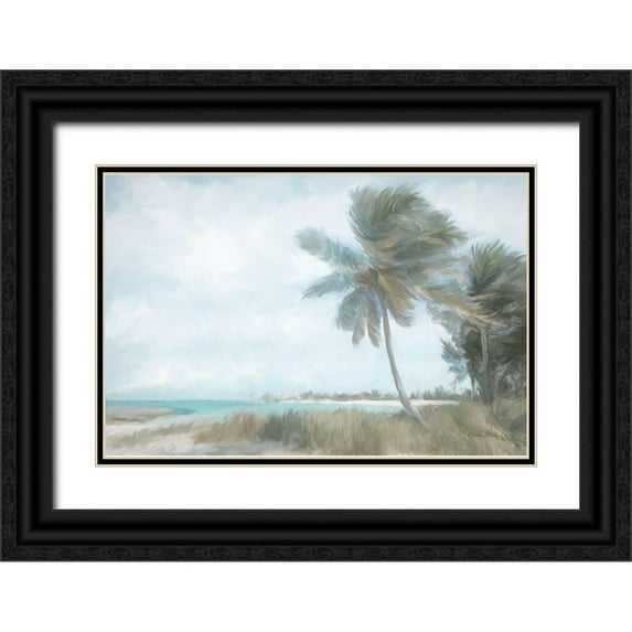 Murdock, Ramona 18x13 Black Ornate Wood Framed with Double Matting Museum Art Print Titled - Palm Harbor