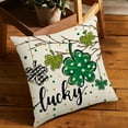 thumbnail image 6 of StSilkitty St. Patrick's Day Pillow Cover Sofa Pillow Cover Washable Pillow Cover Holiday Gift Suitable for Sofa Bedroom Office, 6 of 6