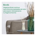 thumbnail image 2 of Aromatizante de Ambiente Air Wick Reed Diffuser Manzana Canela 50 ml, 2 of 4