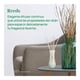 thumbnail image 2 of Aromatizante de Ambiente Air Wick Reed Diffuser Manzana Canela 50 ml, 2 of 4