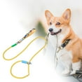 thumbnail image 2 of Laisse pour Chien Durable pour Petits et Moyens Chiens Réfléchissante Nylon Animal de Compagnie Marche Extérieure Entraînement Contrôle Réglable Léger, 2 of 4