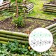 thumbnail image 1 of unbranded 8Ud Racks Para Fijar De Plantas En Plástico Resistente Ideal Para Exhibición En Jardín, 1 of 8