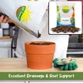 thumbnail image 4 of Lucky Bamboo Plant Potting Mix (4 Quarts), Custom Soil Mix for Repotting, 4 of 9
