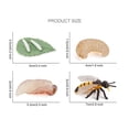 thumbnail image 3 of Agiferg Simulation Arthropode Cycle de Vie d'Une Araignée Bee Ladybugs Modèle, 3 of 3