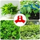 thumbnail image 1 of Dobladora de Clips para Plantas, 1 of 5