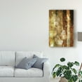 thumbnail image 3 of Trademark Fine Art 'UA CH Golden Glow II' Canvas Art by Sisa Jasper, 3 of 4