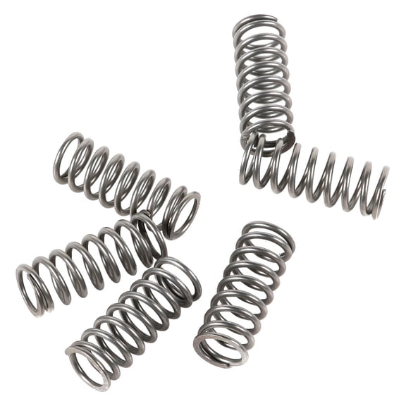 EBC CSK198 - CSK Series Heavy Duty Clutch Spring Kit