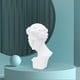 thumbnail image 5 of 6 "clásico griego Giuliano Medici estatua réplica escultura figurita decoración para artesanías de resina para Sketch Practice Gloria  Figura de mitología griega, 5 of 9