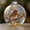 multcolor98, variant on Tuvgenk Hanging Bird Decorative Pendant Crystal Snow Globe Robin Ornament Water Globe Glass Dome Resin Base Home Table Shelf Holiday Decor