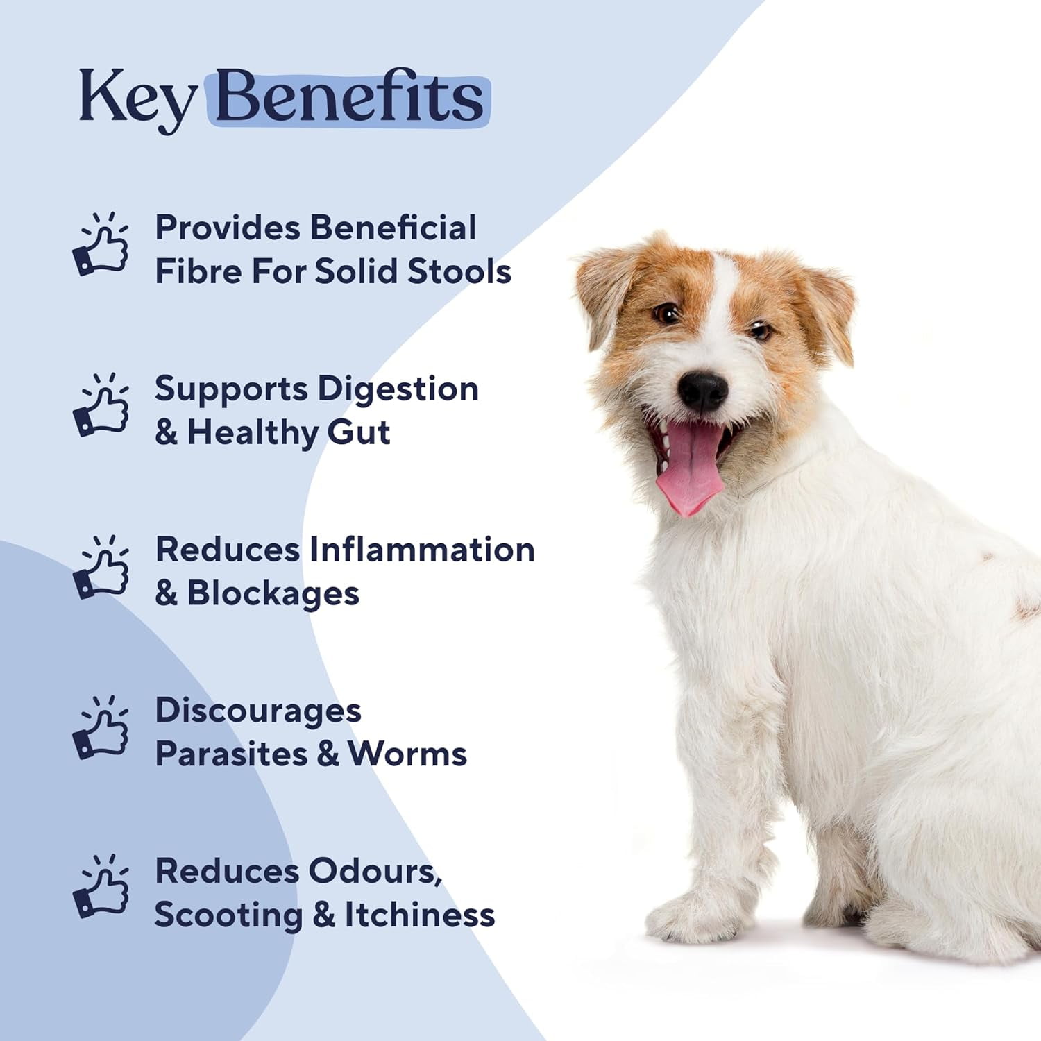 Pawfy Anal Gland Relief Chews | Stops Scooting | Stool Problems | Odors | with Fibre & Probiotics