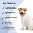 thumbnail image 5 of Pawfy Anal Gland Relief Chews | Stops Scooting | Stool Problems | Odors | with Fibre & Probiotics, 5 of 7