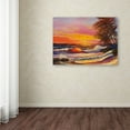 thumbnail image 3 of Trademark Fine Art "Hawaiian Glow" Canvas Art by Manor Shadian, 3 of 3
