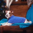 thumbnail image 2 of Albornoz absorbente para mascotas, toalla de baño, albornoz para gatos, toalla de baño para perros, albornoz envolvente para perros y gatos pequeños y grandes., 2 of 7