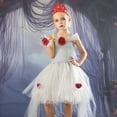 thumbnail image 2 of Odeerbi Kids Girls Vintage Queen Dress Gothic Rose Crochet High Low Tulle Tutu Dress with Crown, 2 of 7