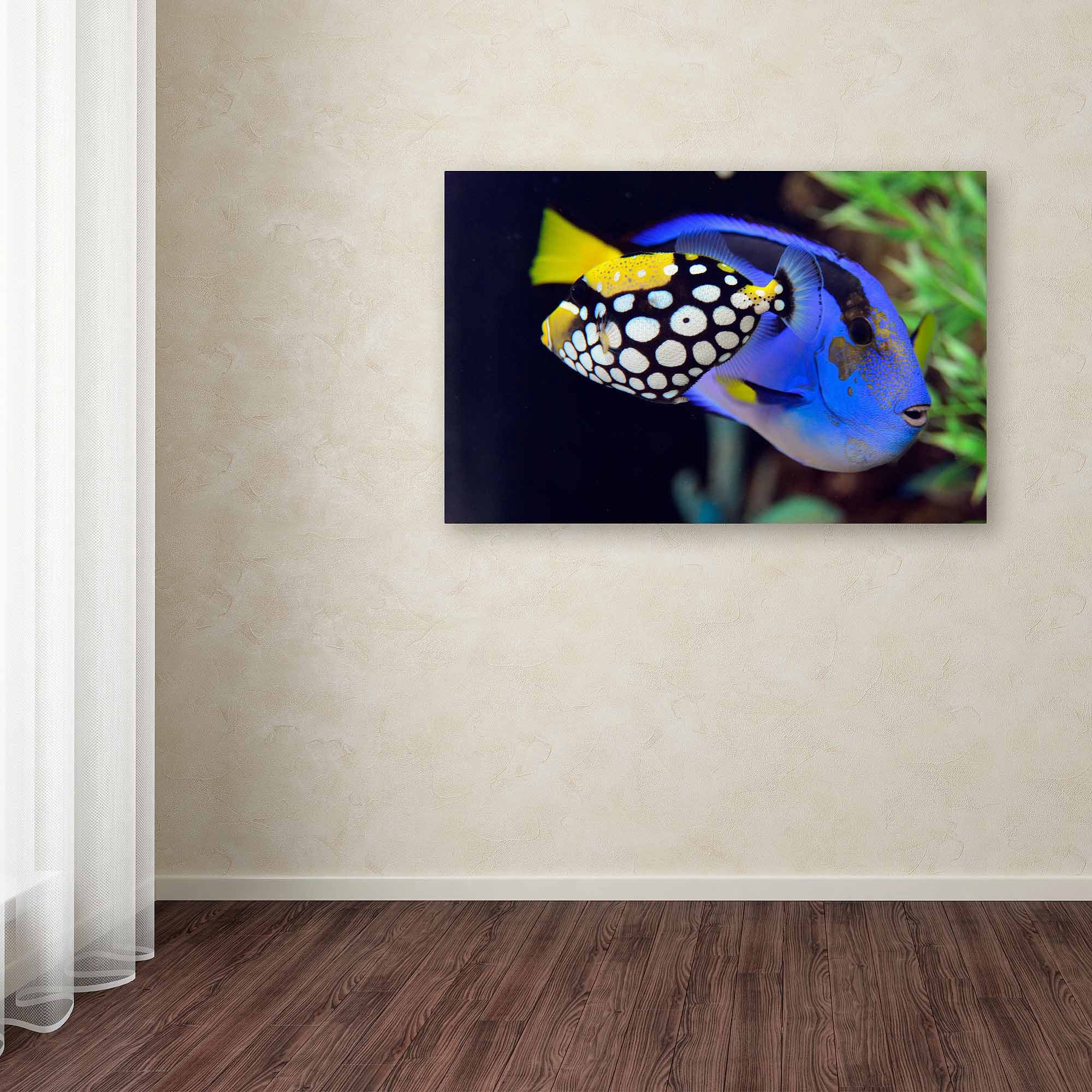 Trademark Fine Art "Colorful Tropical Fish" Canvas Art by Kurt Shaffer