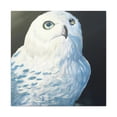 thumbnail image 1 of Snowy Owl on Ice - Canvas, 1 of 10