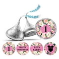 thumbnail image 1 of Darling Souvenir Party Favor Floral Border 1st Birthday Theme Stickers Labels 190 Pcs-Light Pink, 1 of 2