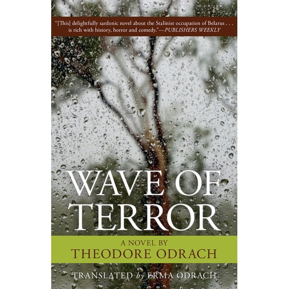 Wave of Terror : A Novel (Paperback)