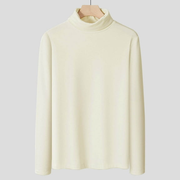 Men's Pullover Sweater Long Sleeve Turtle Neck Knit Shirt Classic Regular Fit Casual Sweater Solid Color Tops (L, Beige)