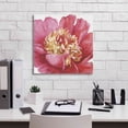 thumbnail image 5 of Epic Graffiti 'Pink Garden V' by Lisa Audit, Canvas Wall Art, 18"x18", 5 of 8