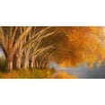 thumbnail image 3 of Allen, Kimberly 24x14 Black Modern Framed Museum Art Print Titled - Quiet Pond, 3 of 5
