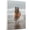 Belgian Tervuren, variant on Funny Dog on Beach Canvas Wall Art, Welsh Springer Spaniel Dog Picture Ocean Artwork for Bathroom Bedroom Living Room, Art Decor 8x12 Inches