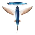 thumbnail image 6 of Nomad Design Slipstream 280 Flying Fish 11" Floating Lure - Phantom, 6 of 8