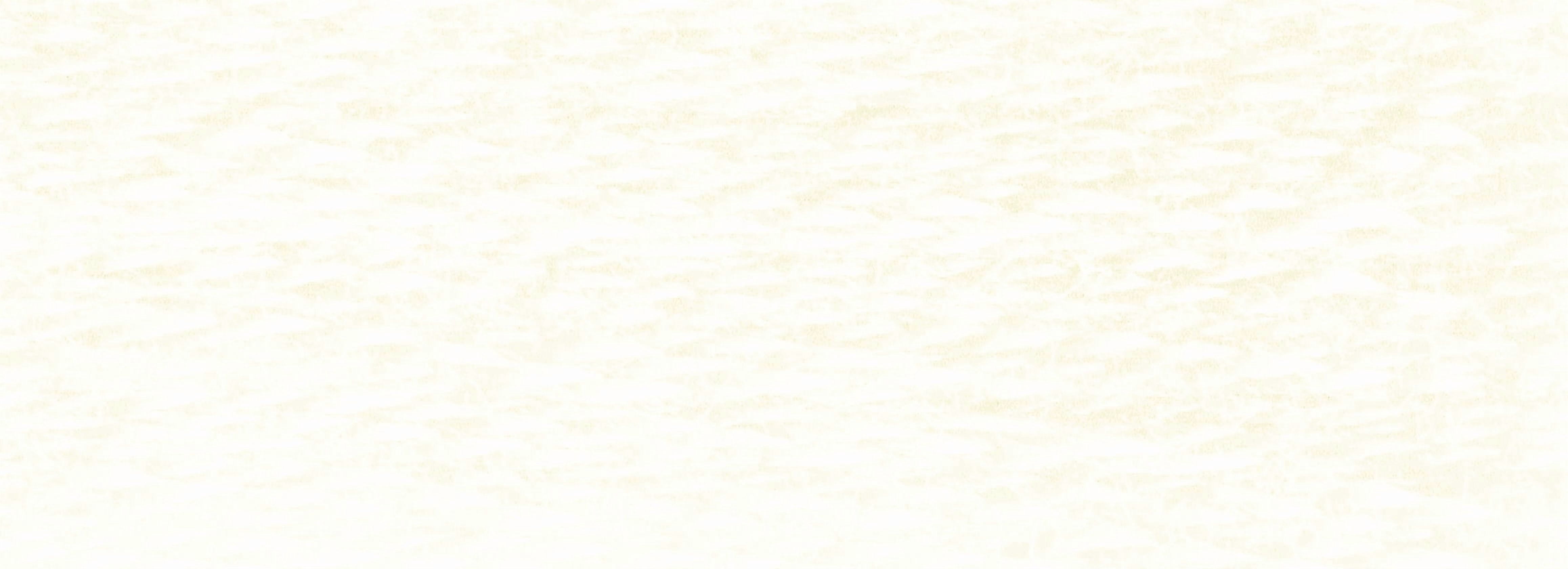 DMC Mouline 117-3865 Six-Strand Embroidery Thread , Winter White, 8.7-Yards