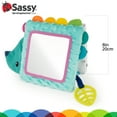 Sassy Badger Gift Set with Tummy Time Floor Mirror & Soft Texture Book ...