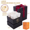 thumbnail image 4 of Rosa Preservada Impouo Blanco Regalo de Amor Eterno para Ella, 4 of 6