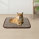 thumbnail image 3 of Estera de enfriamiento automático para perros, almohadillas de enfriamiento lavables para mascotas, manta para dormir, estera para perrera, estera para dormir de seda de hielo, cama transpirable para, 3 of 5
